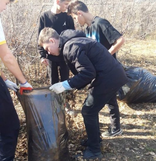 Труд облагораживает и двор, и душу
